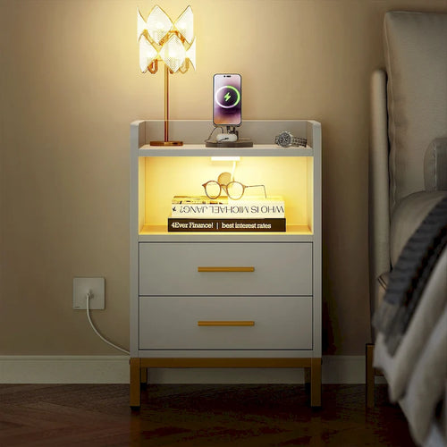 Moasis Set of 2 2-Drawers Nightstand with USB Charging Station for Bedroom Living Room